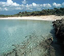 Spanish Beach